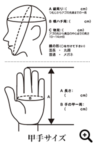 サイズ